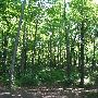 Bald Mountain State Park