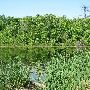 Bald Mountain State Park