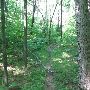 Bald Mountain State Park