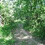 Bald Mountain State Park