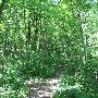Bald Mountain State Park