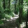 Bald Mountain State Park