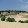 Warren Dunes State Park