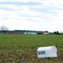 Ford Farms