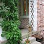 1920's Grosse Pointe Home