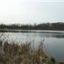 Doyle Lake