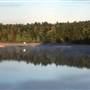 Camp Chickagami