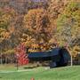 Ann Arbor FALL Landscape photos