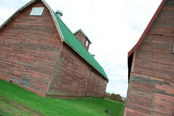 Ford Farms (5/19/2010)