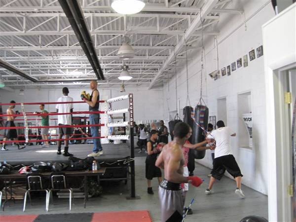 Detroit Boxing Jungle