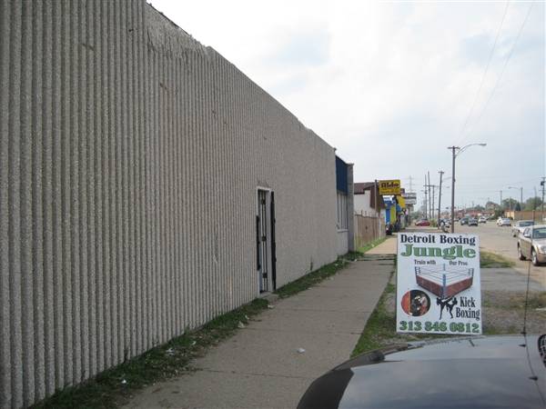 Detroit Boxing Jungle