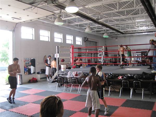 Detroit Boxing Jungle