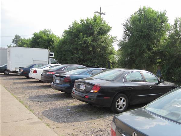 Detroit Boxing Jungle