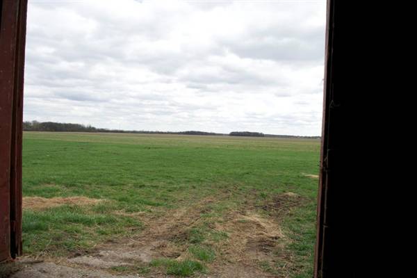 Ford Farms (5/19/2010)