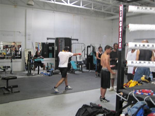 Detroit Boxing Jungle