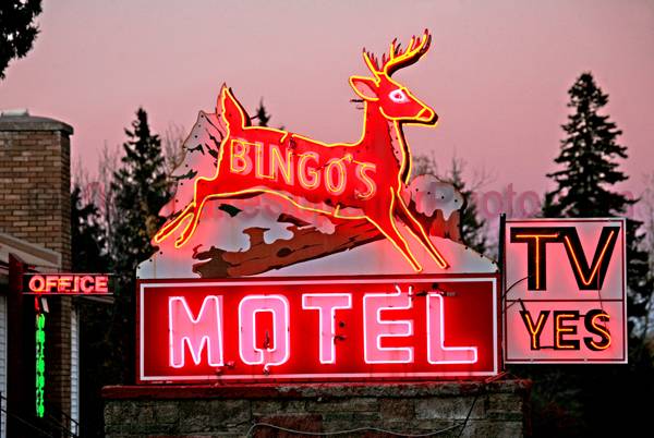 Bingo's Motel