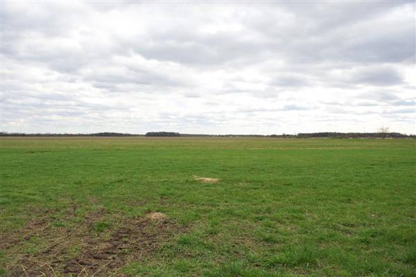 Ford Farms (5/19/2010)