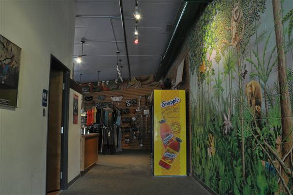 Planet Rock Climbing Gym: Ann Arbor
