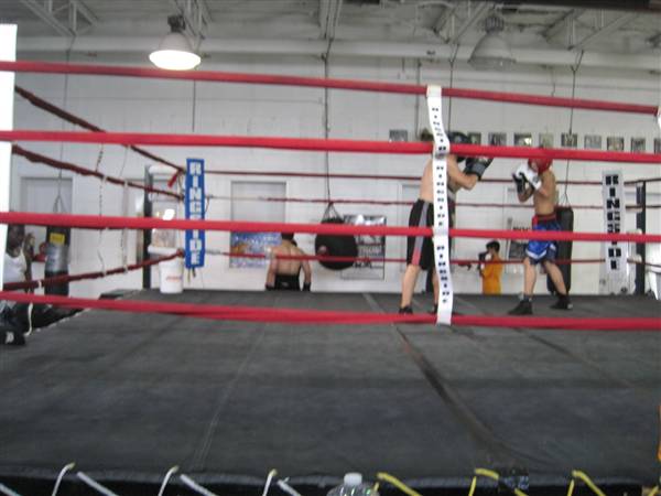 Detroit Boxing Jungle