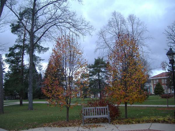 Albion College (10/13/2008)