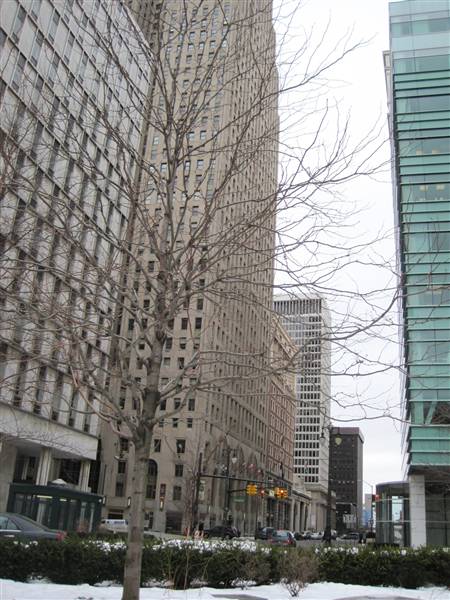Campus Martius Park (2/19/2010)