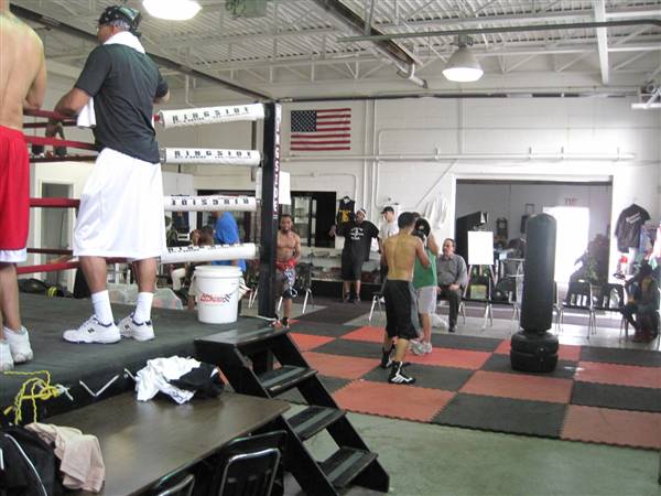Detroit Boxing Jungle