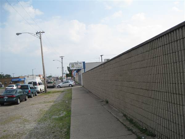 Detroit Boxing Jungle