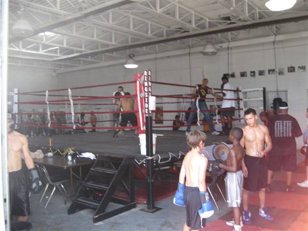 Detroit Boxing Jungle