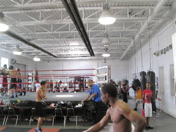 Detroit Boxing Jungle
