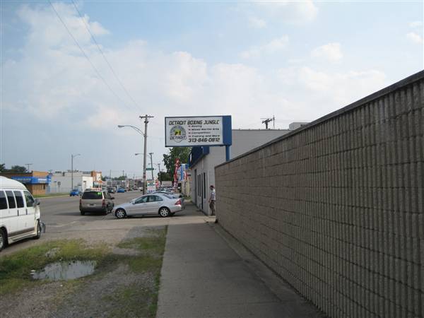 Detroit Boxing Jungle