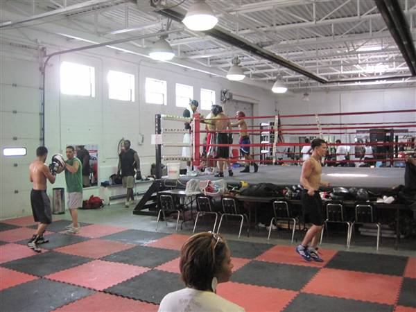 Detroit Boxing Jungle