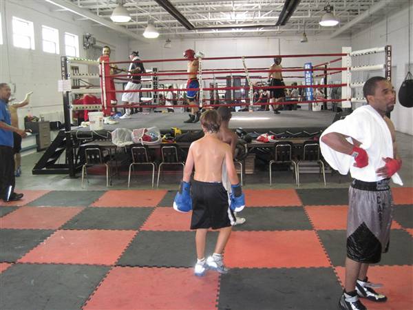 Detroit Boxing Jungle